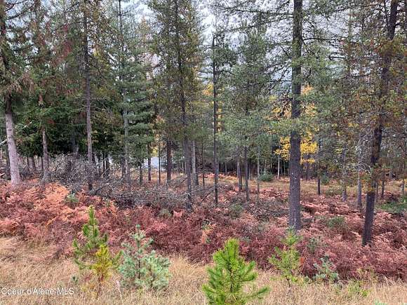 0.86 Acres of Residential Land for Sale in Pinehurst, Idaho