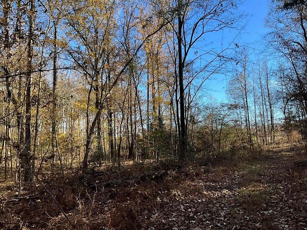 48 Acres of Recreational Land for Sale in Oxford, Mississippi