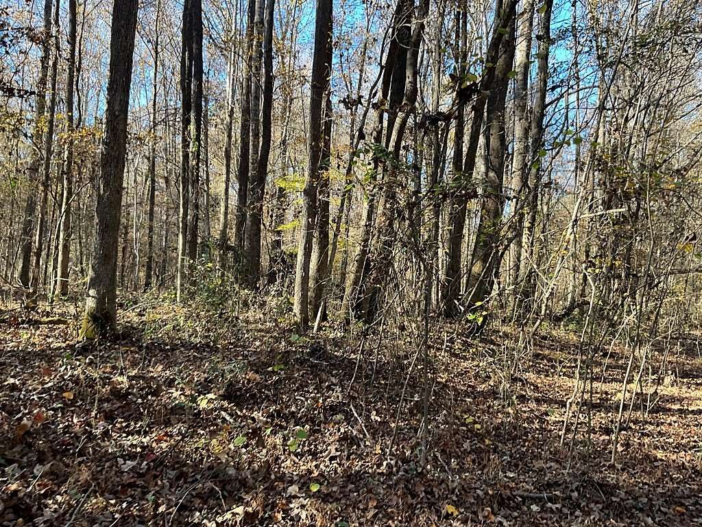 48 Acres of Recreational Land for Sale in Oxford, Mississippi