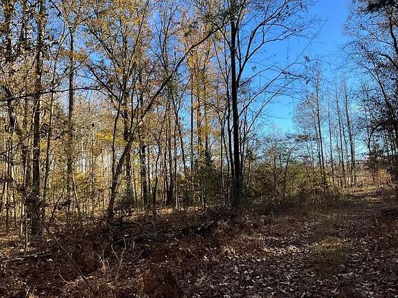 48 Acres of Recreational Land for Sale in Oxford, Mississippi