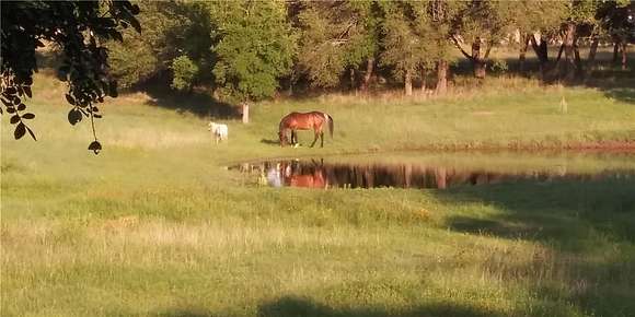 11.106 Acres of Land with Home for Sale in Marble Falls, Texas