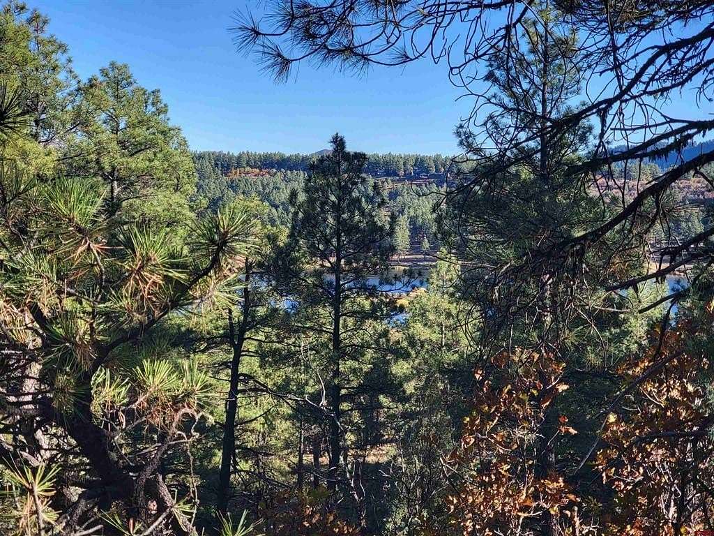 7.5 Acres of Residential Land for Sale in Pagosa Springs, Colorado