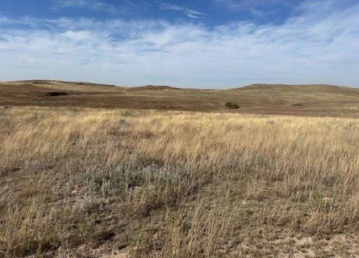 120 Acres of Agricultural Land for Sale in Gage, Oklahoma