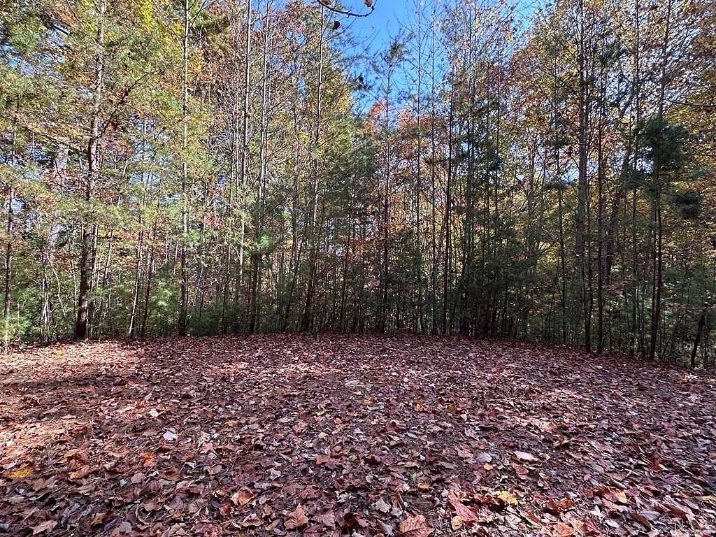 Residential Land for Sale in Murphy, North Carolina