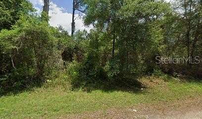 0.23 Acres of Residential Land for Sale in Dunnellon, Florida