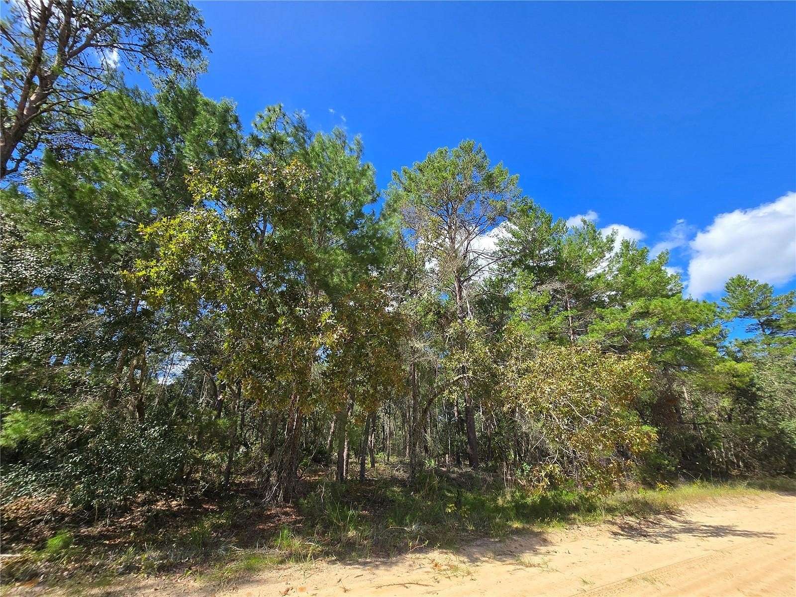 0.22 Acres of Residential Land for Sale in Interlachen, Florida