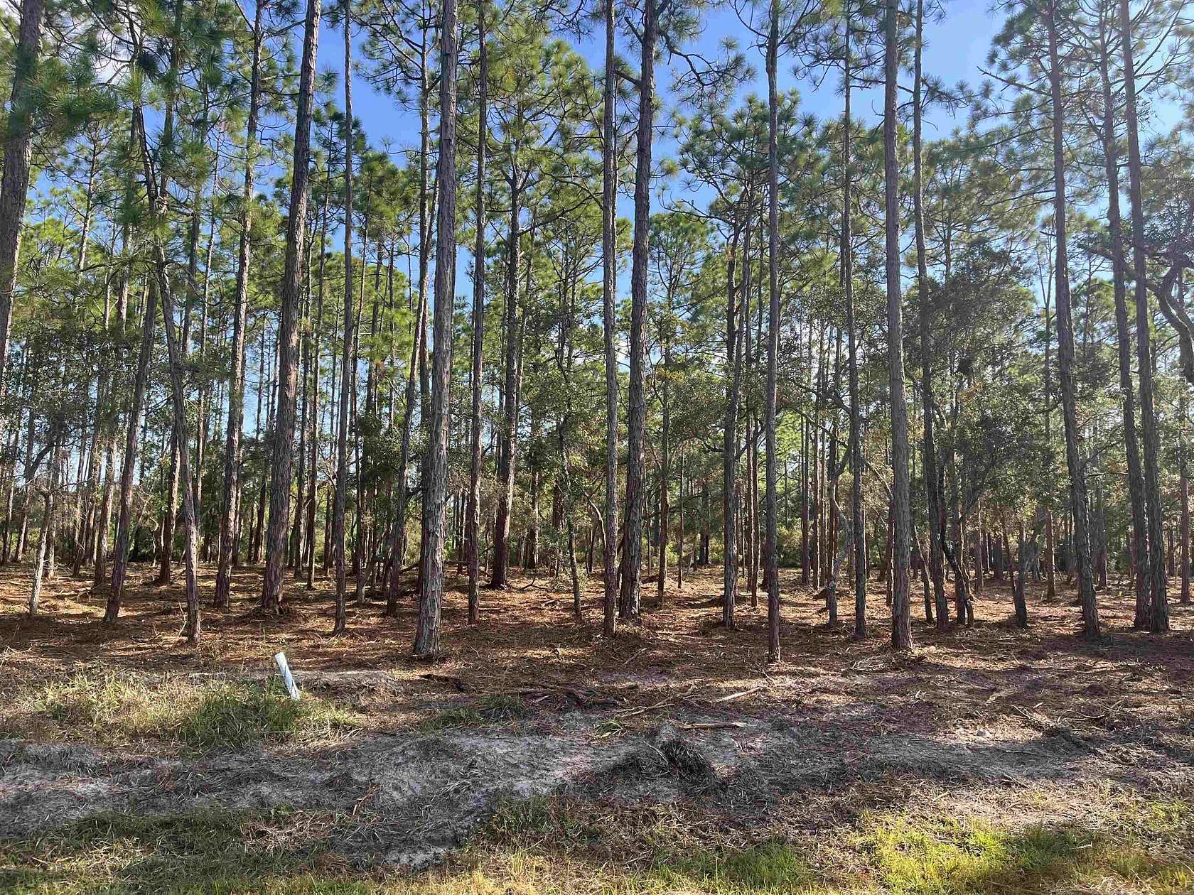 1 Acre of Land for Sale in Panacea, Florida