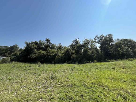 35.4 Acres of Agricultural Land for Sale in Altha, Florida