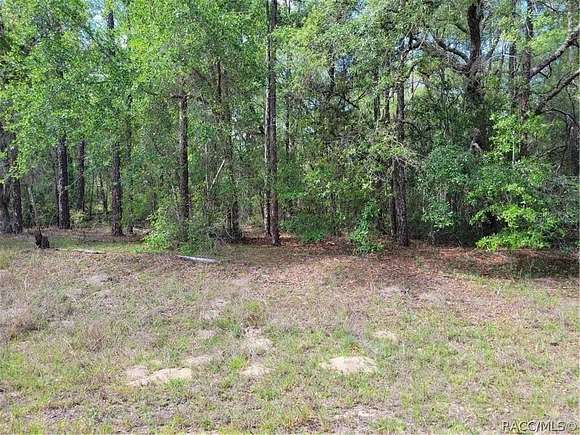 0.23 Acres of Residential Land for Sale in Dunnellon, Florida