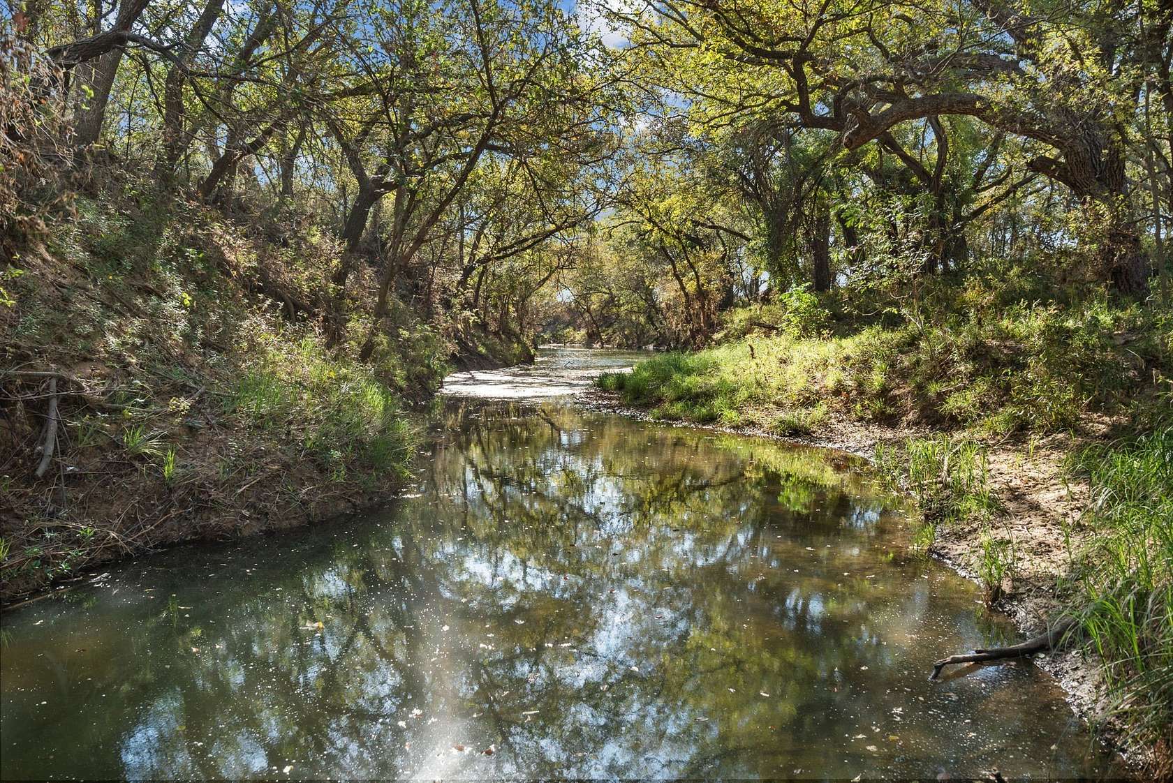 56.5 Acres of Land for Sale in Coleman, Texas