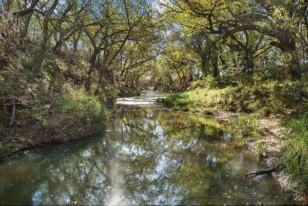 56.5 Acres of Land for Sale in Coleman, Texas