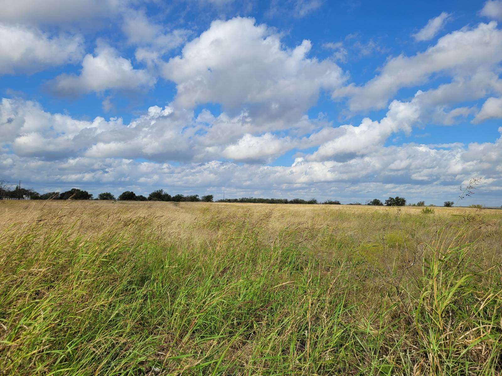 10.01 Acres of Land for Sale in Hamilton, Texas