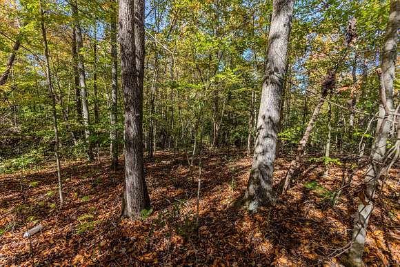 12.86 Acres of Recreational Land for Sale in Fayetteville, West Virginia