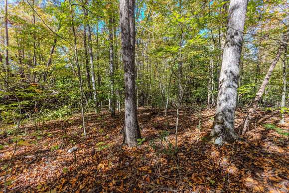 12.86 Acres of Recreational Land for Auction in Fayetteville, West Virginia