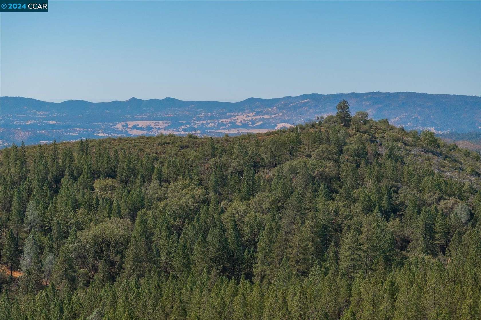 355 Acres of Recreational Land for Sale in Mountain Ranch, California