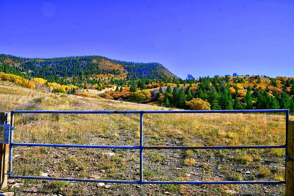 64.66 Acres of Land for Sale in Mora, New Mexico