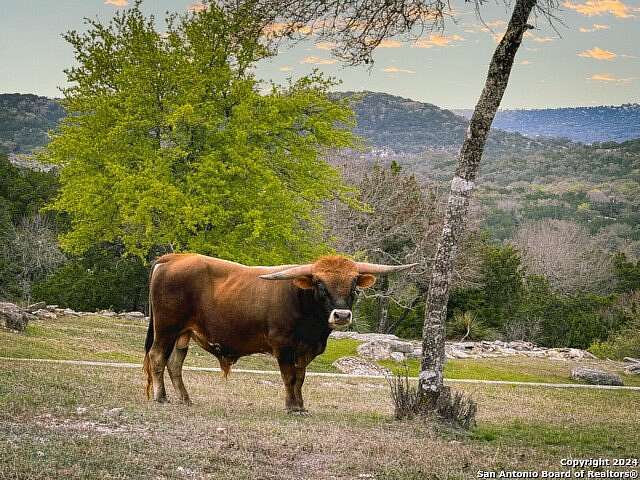 21.46 Acres of Agricultural Land for Sale in Boerne, Texas