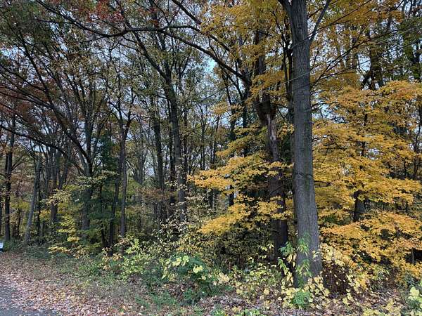 1.1 Acres of Residential Land for Sale in Holland, Michigan