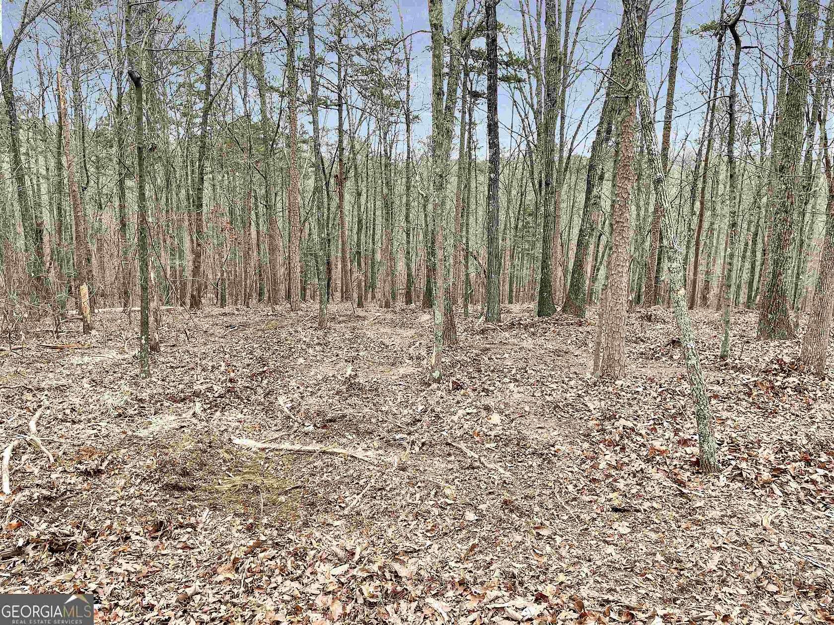 16.86 Acres of Land for Sale in Lindale, Georgia