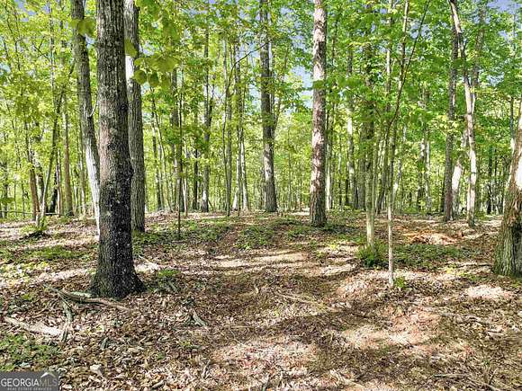 16.86 Acres of Land for Sale in Lindale, Georgia