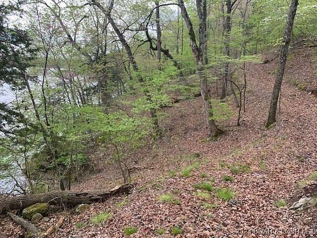 11.3 Acres of Land for Sale in Gravois Mills, Missouri - LandSearch