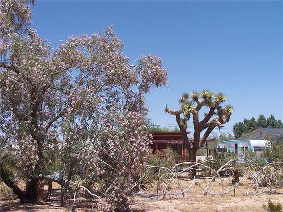 0.217 Acres of Land for Sale in Joshua Tree, California