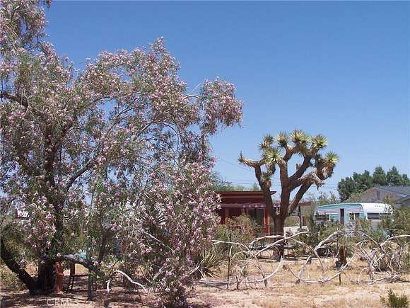 0.217 Acres of Land for Sale in Joshua Tree, California