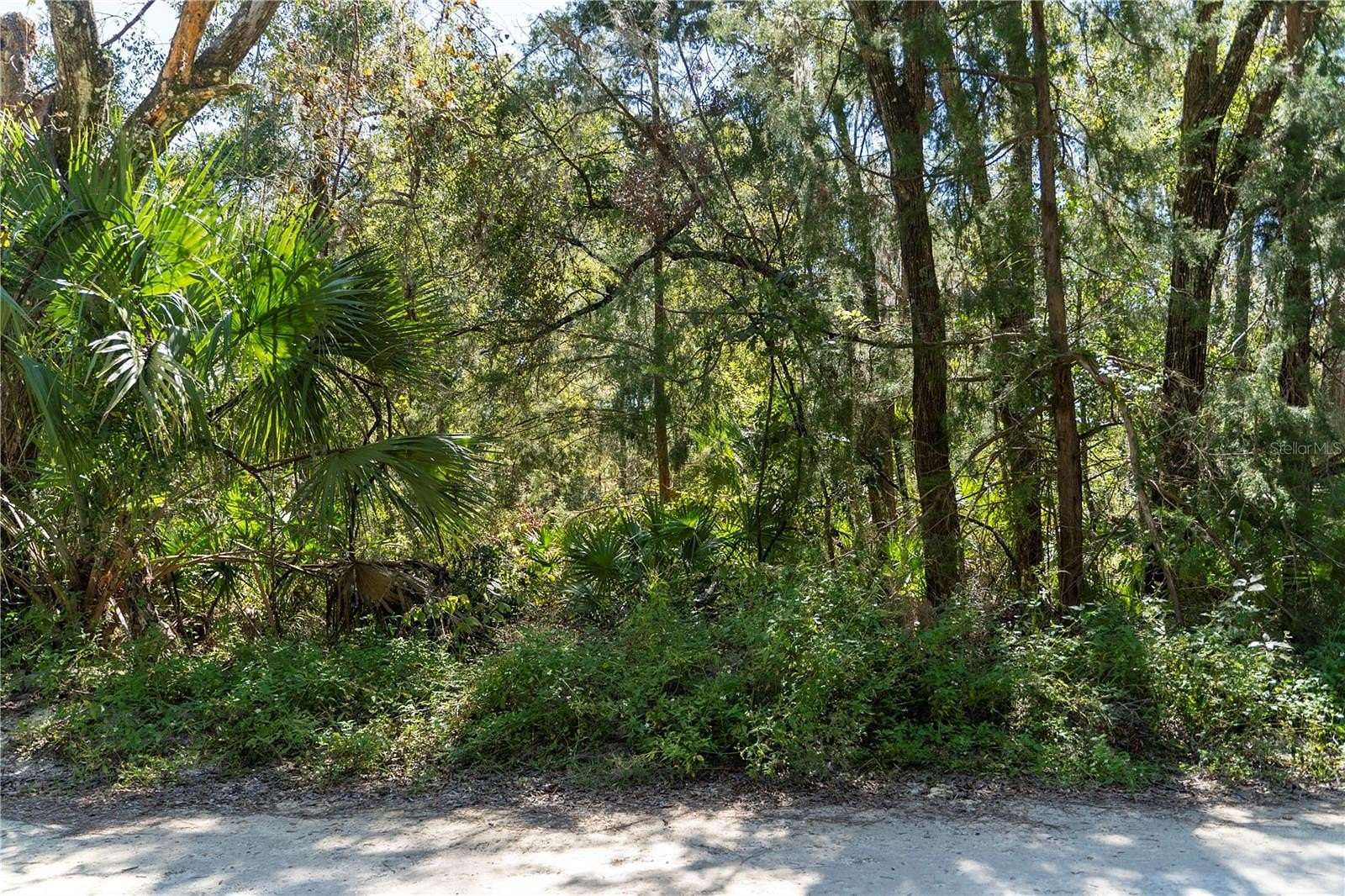 0.48 Acres of Residential Land for Sale in Old Town, Florida