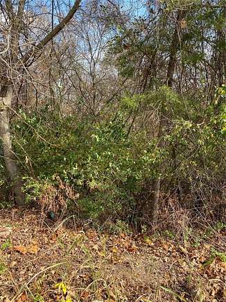 0.32 Acres of Residential Land for Sale in Waynesville, Missouri