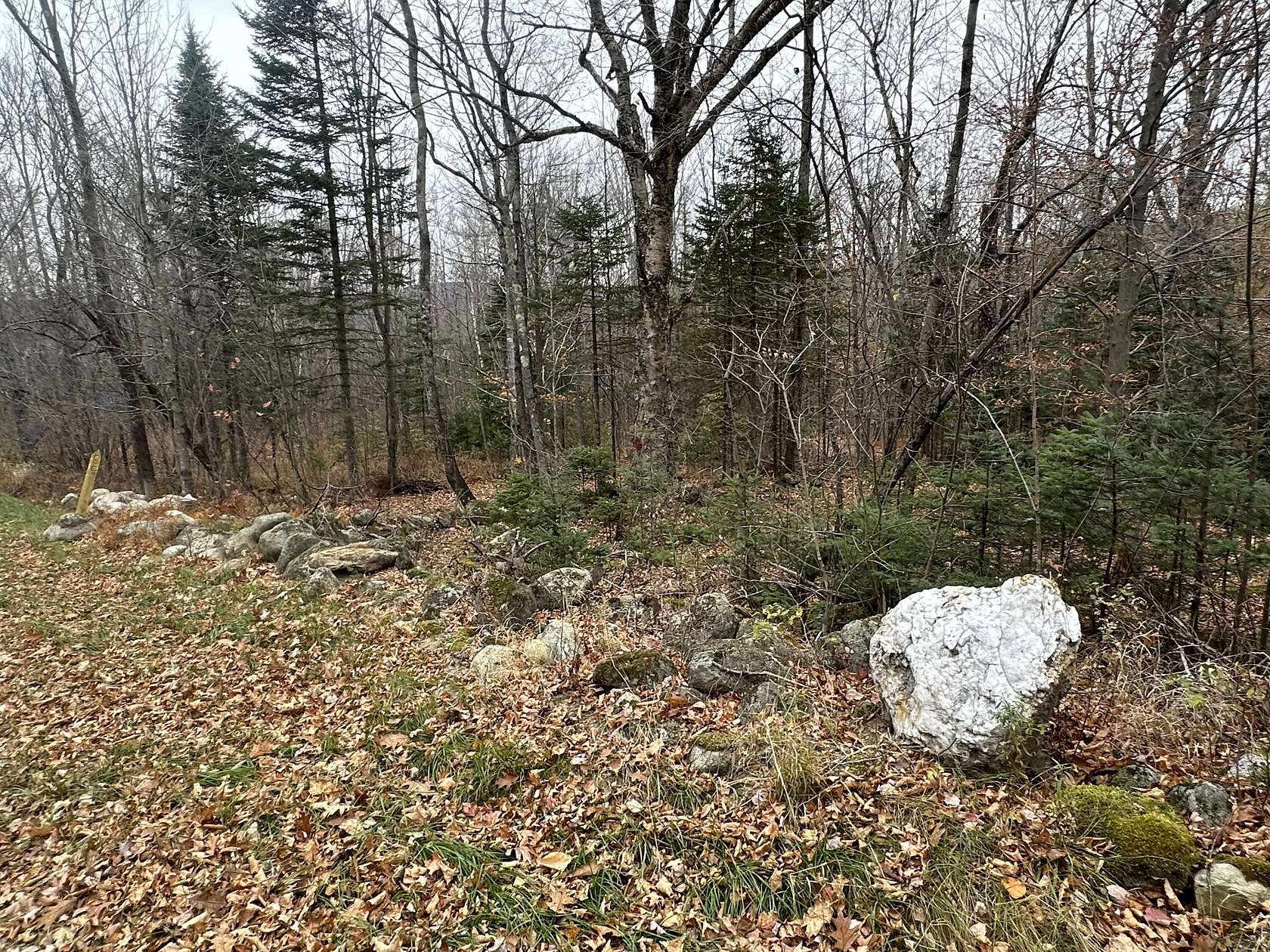 5 Acres of Land for Sale in Woodstock Town, Maine