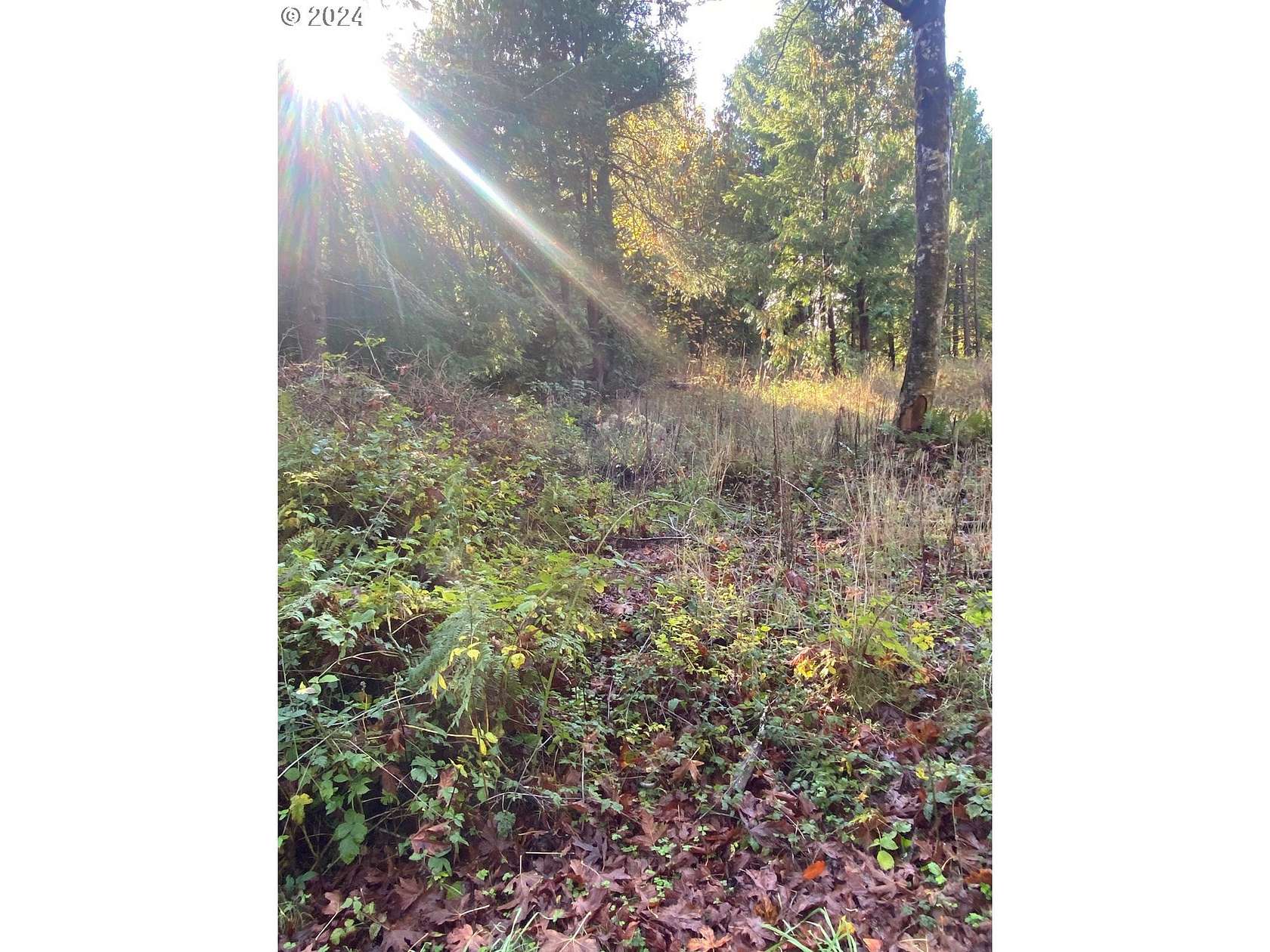 2.63 Acres of Residential Land for Sale in Coos Bay, Oregon