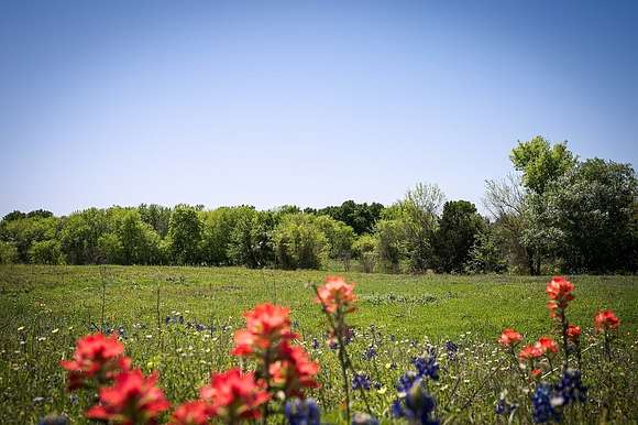 54.872 Acres of Agricultural Land for Sale in Chappell Hill, Texas