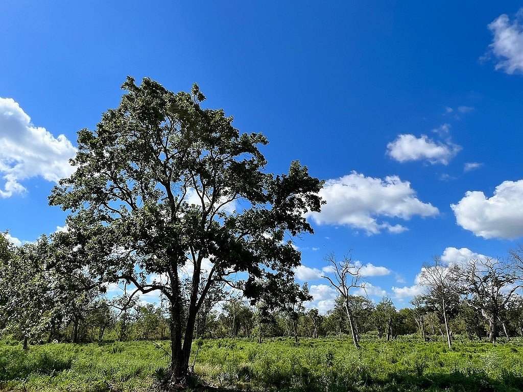 4.229 Acres of Agricultural Land for Sale in Brazoria, Texas