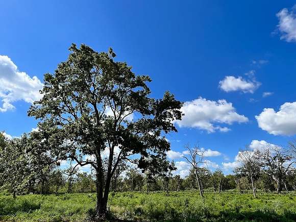 4.229 Acres of Agricultural Land for Sale in Brazoria, Texas