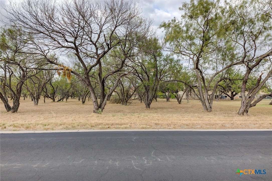 0.246 Acres of Residential Land for Sale in Horseshoe Bay, Texas