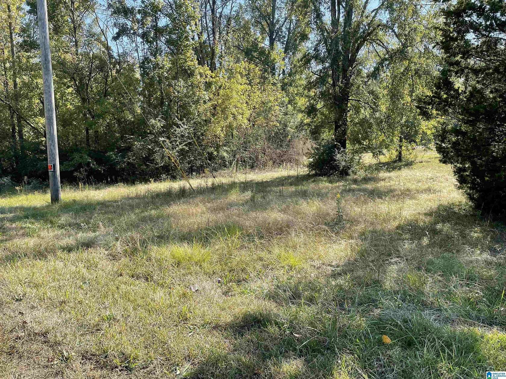 1 Acre of Residential Land for Sale in Lincoln, Alabama