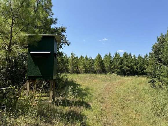 45 Acres of Recreational Land & Farm for Sale in Bogue Chitto, Mississippi