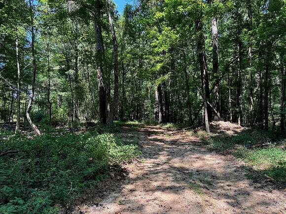 45 Acres of Recreational Land & Farm for Sale in Bogue Chitto, Mississippi