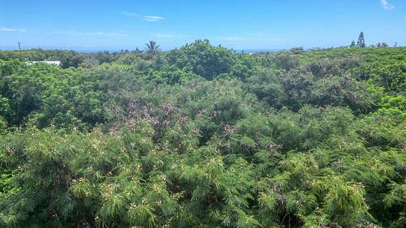 0.275 Acres of Residential Land for Sale in Nāʻālehu, Hawaii