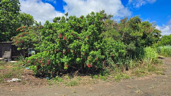 0.275 Acres of Residential Land for Sale in Nāʻālehu, Hawaii