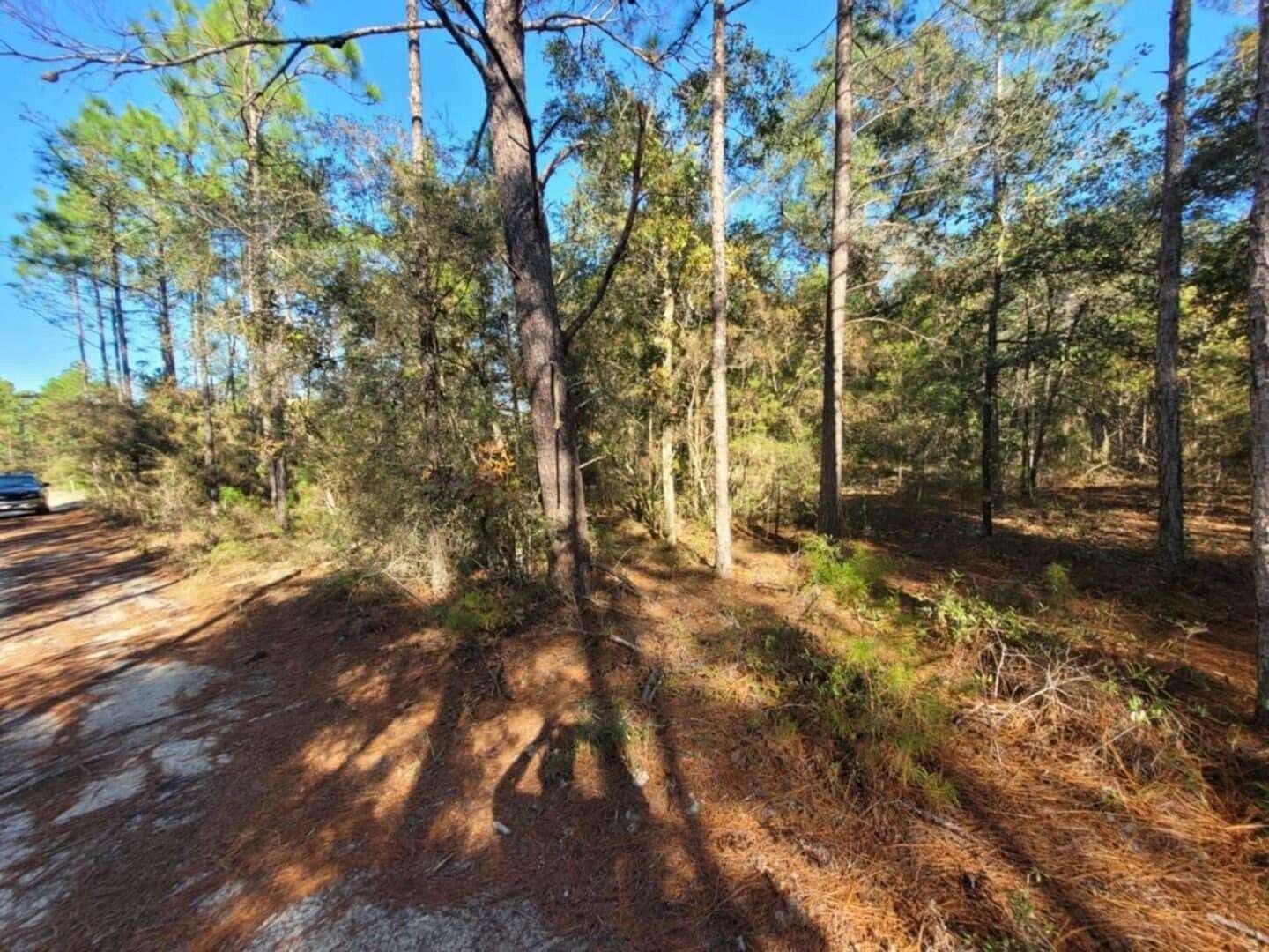 0.25 Acres of Residential Land for Sale in DeFuniak Springs, Florida