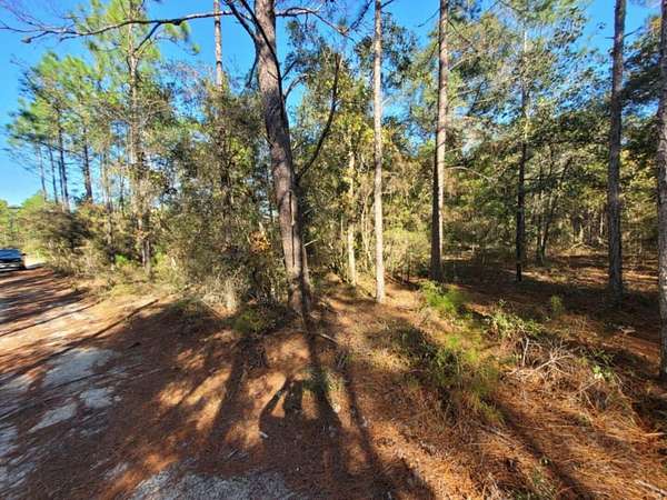 0.25 Acres of Land for Sale in DeFuniak Springs, Florida