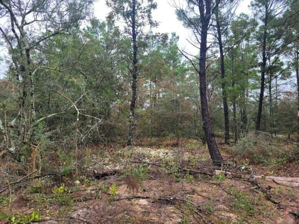 0.23 Acres of Land for Sale in DeFuniak Springs, Florida