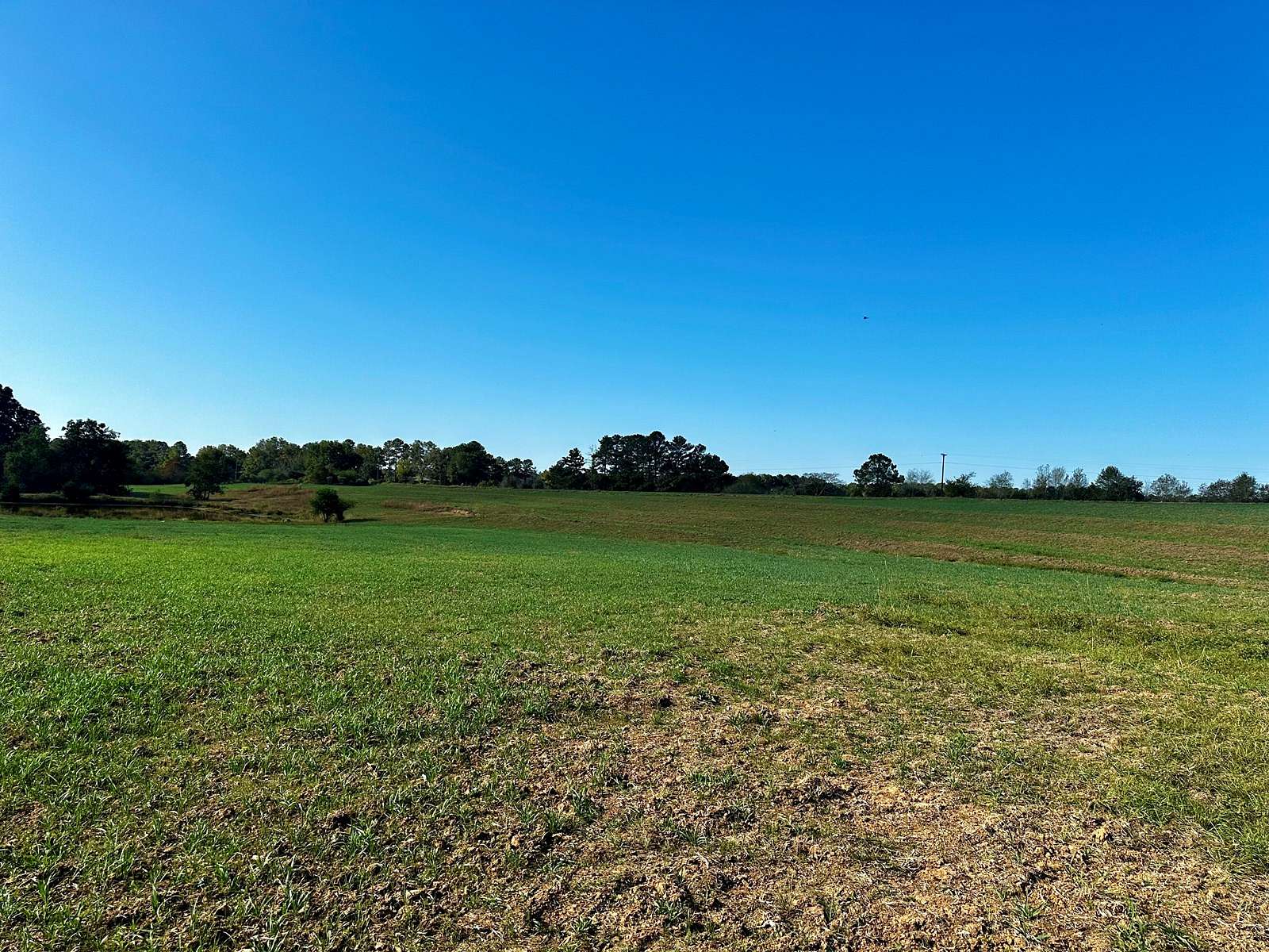 111 Acres of Recreational Land & Farm for Sale in Samson, Alabama