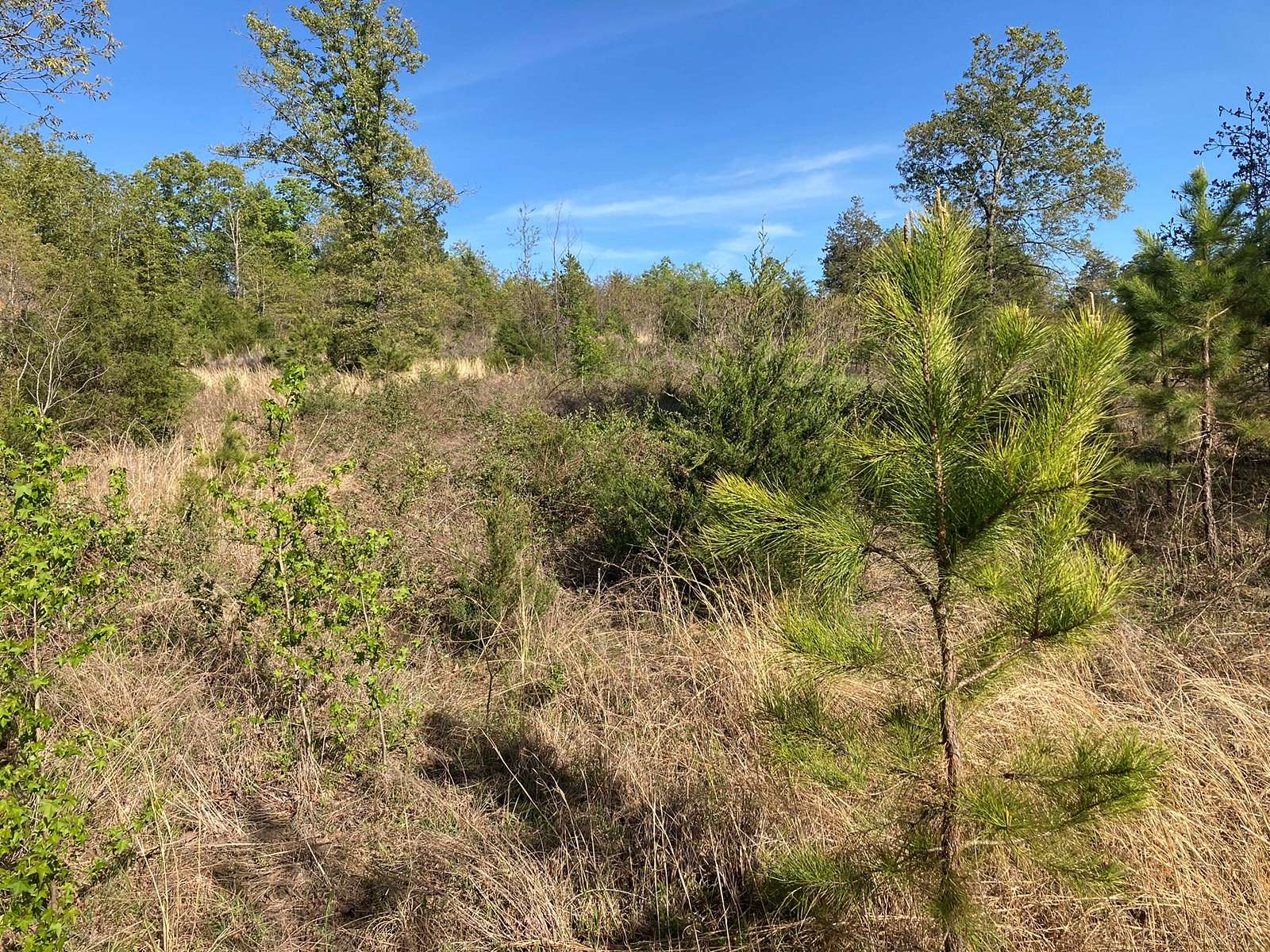 30 Acres of Recreational Land for Sale in Calico Rock, Arkansas