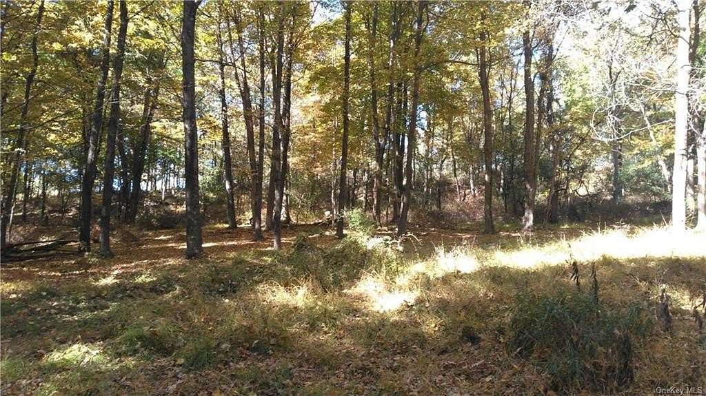 2.7 Acres of Residential Land for Sale in Blooming Grove, New York