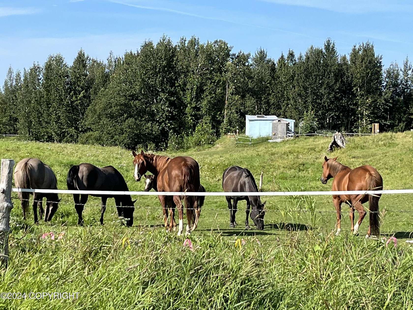 3 Acres of Land for Sale in Palmer, Alaska