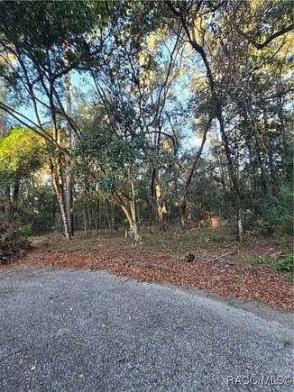 1.32 Acres of Residential Land for Sale in Dunnellon, Florida