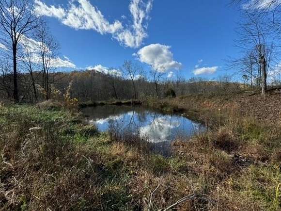 23.8 Acres of Land for Sale in Horse Branch, Kentucky