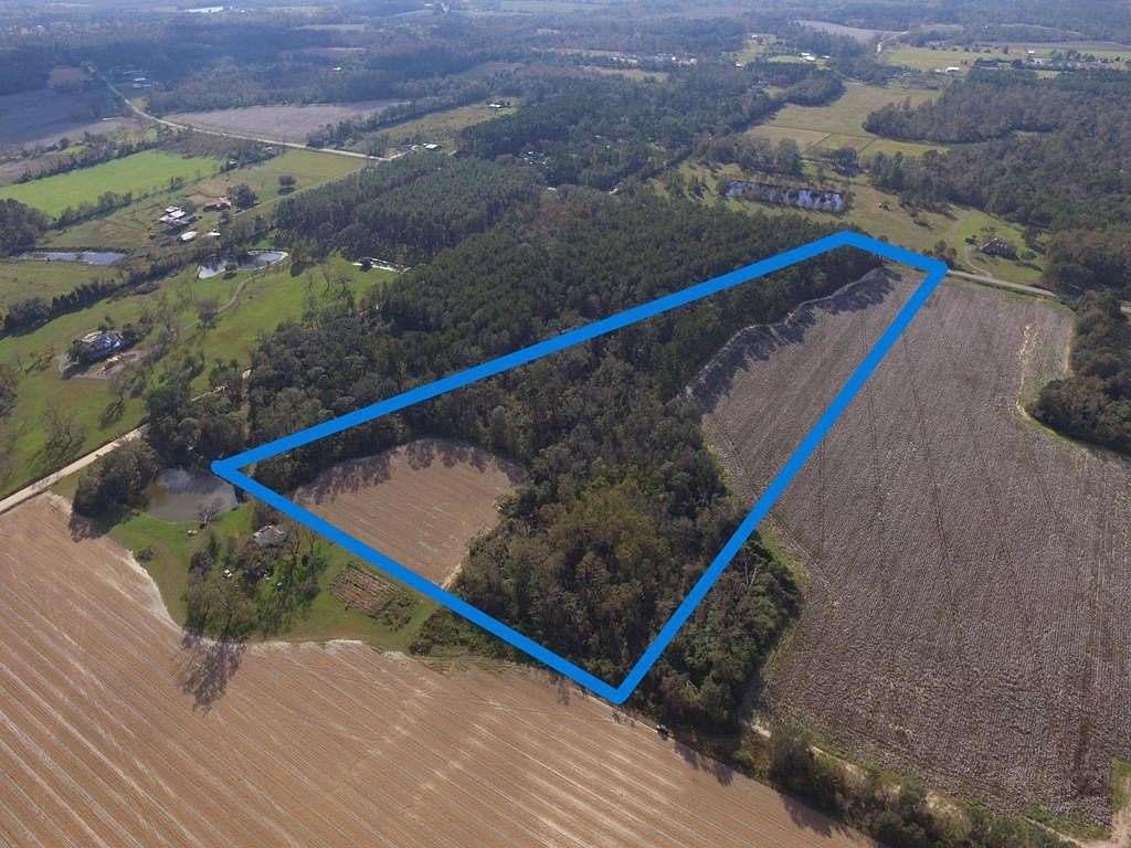 16.96 Acres of Land for Sale in Hahira, Georgia